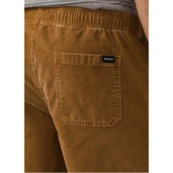 PrAna Canyon Camp Short - Men's
